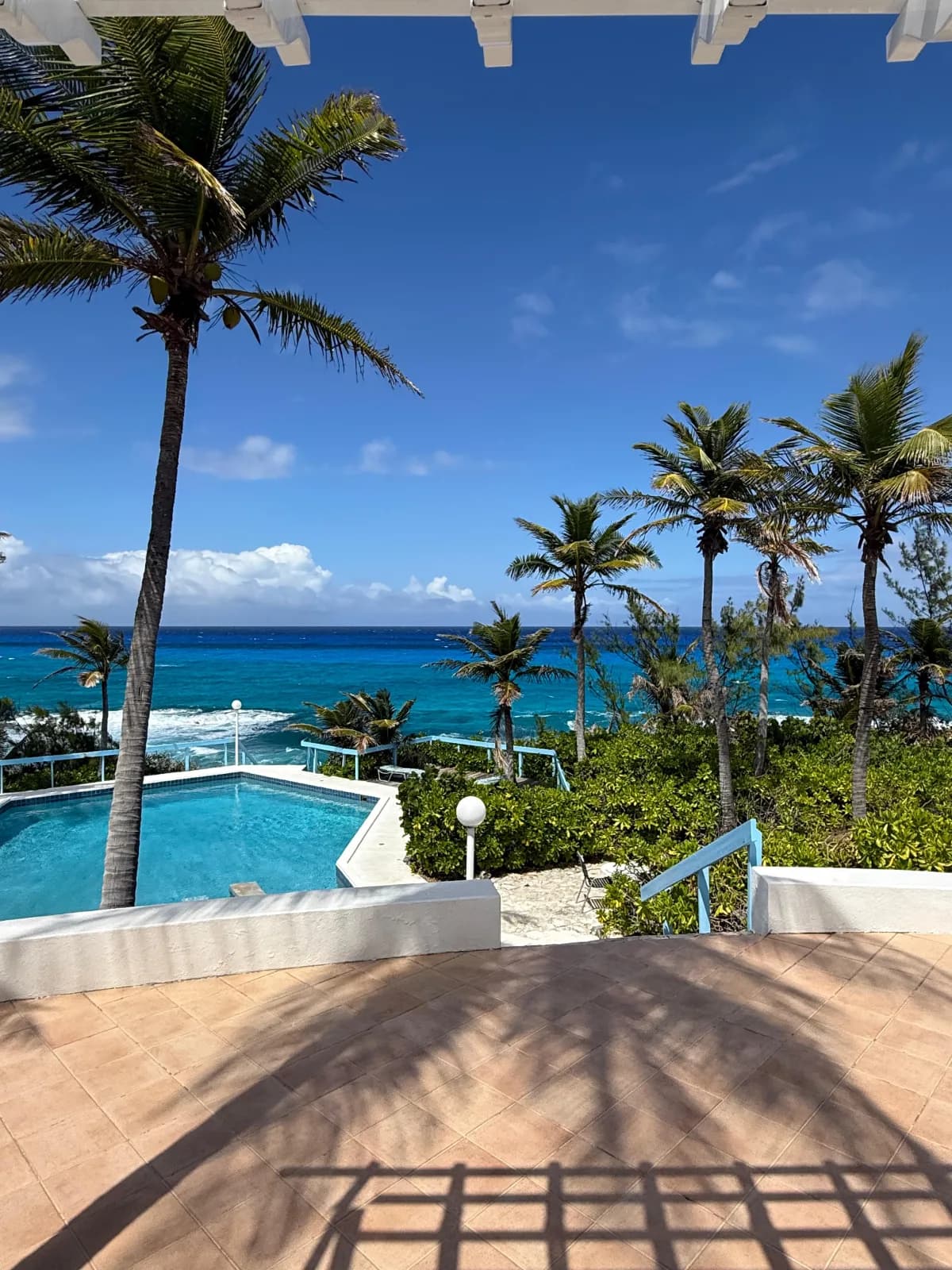 Pool und Palmen über dem offenen Atlantik auf Eleuthera
