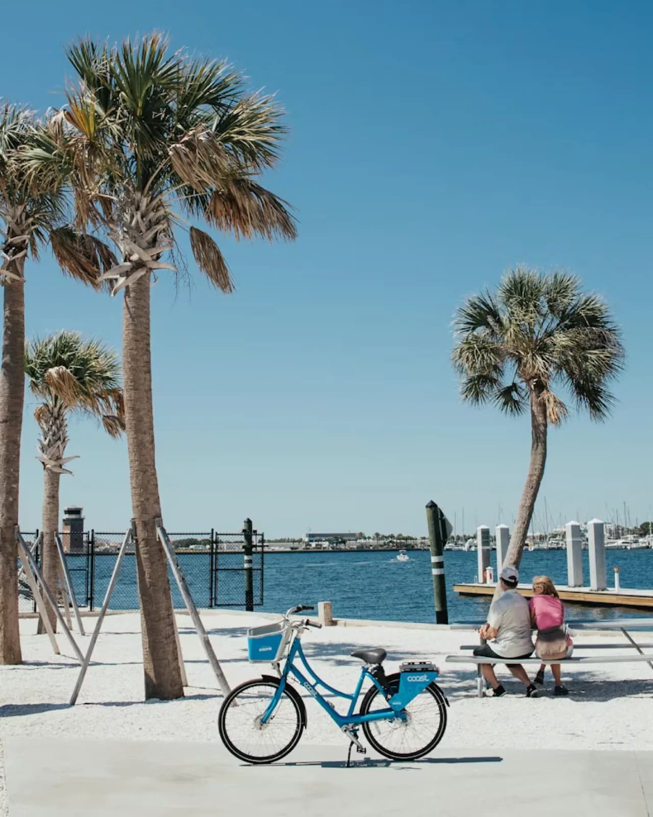 Palmen und Fahrrad an der Uferpromenade von Tampa
