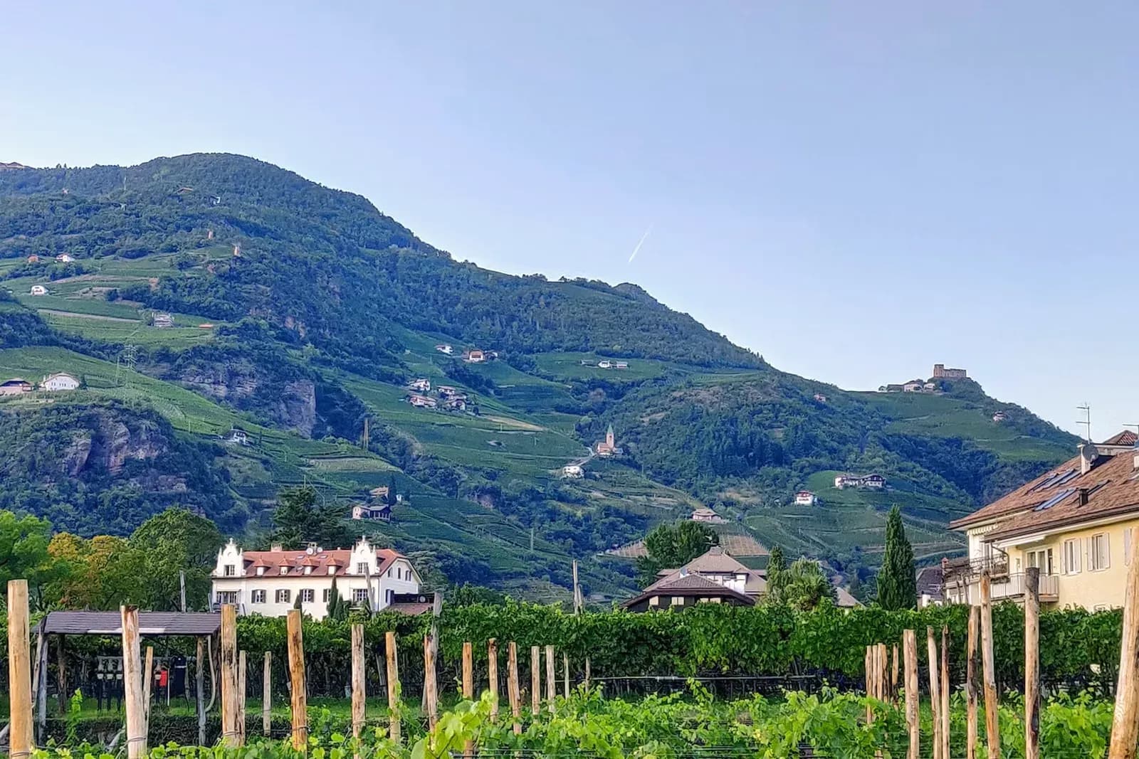 Weinberge und Bergpanorama bei Bozen