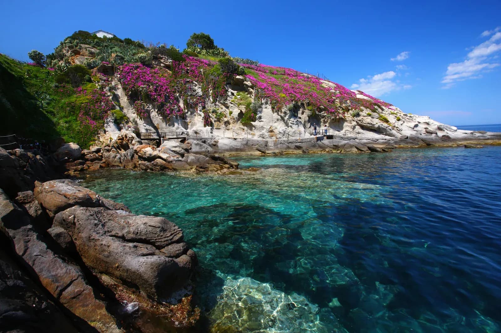 Felsbucht mit blühender Bougainvillea über klarem Wasser