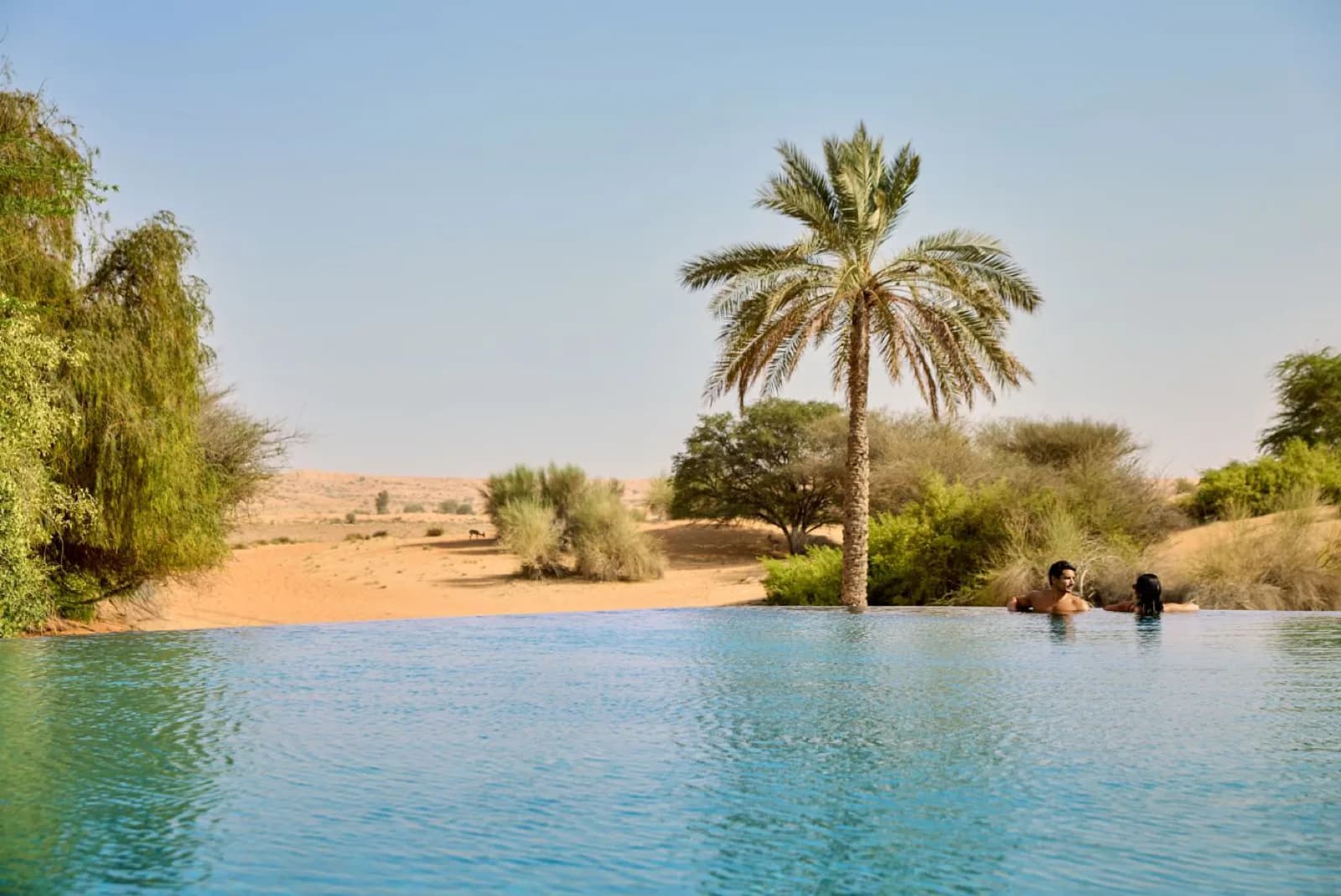 Al Maha – großer Pool zwischen Felsen und Palmen