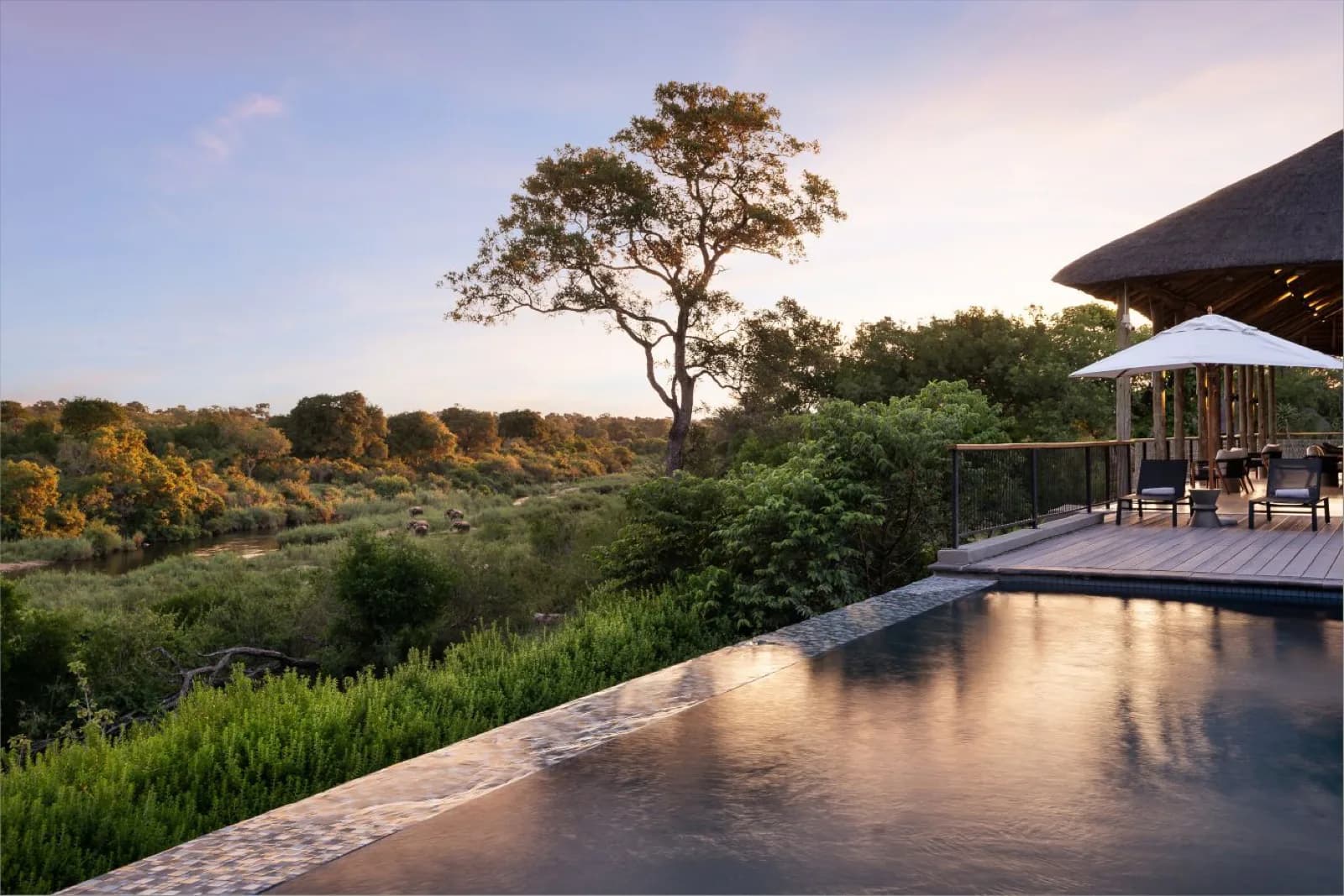 Leopard Sands Lodge – Infinity-Pool über dem Sabie River in der Dämmerung