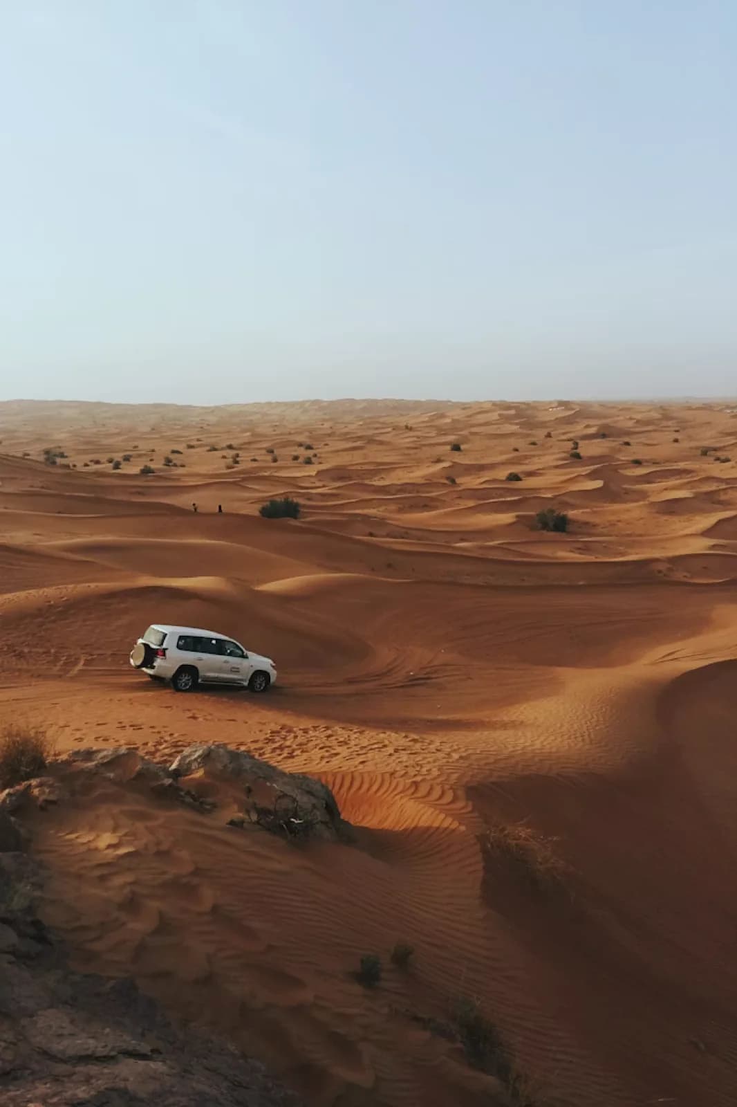Die Wüste des Dubai Desert Conservation Reserve