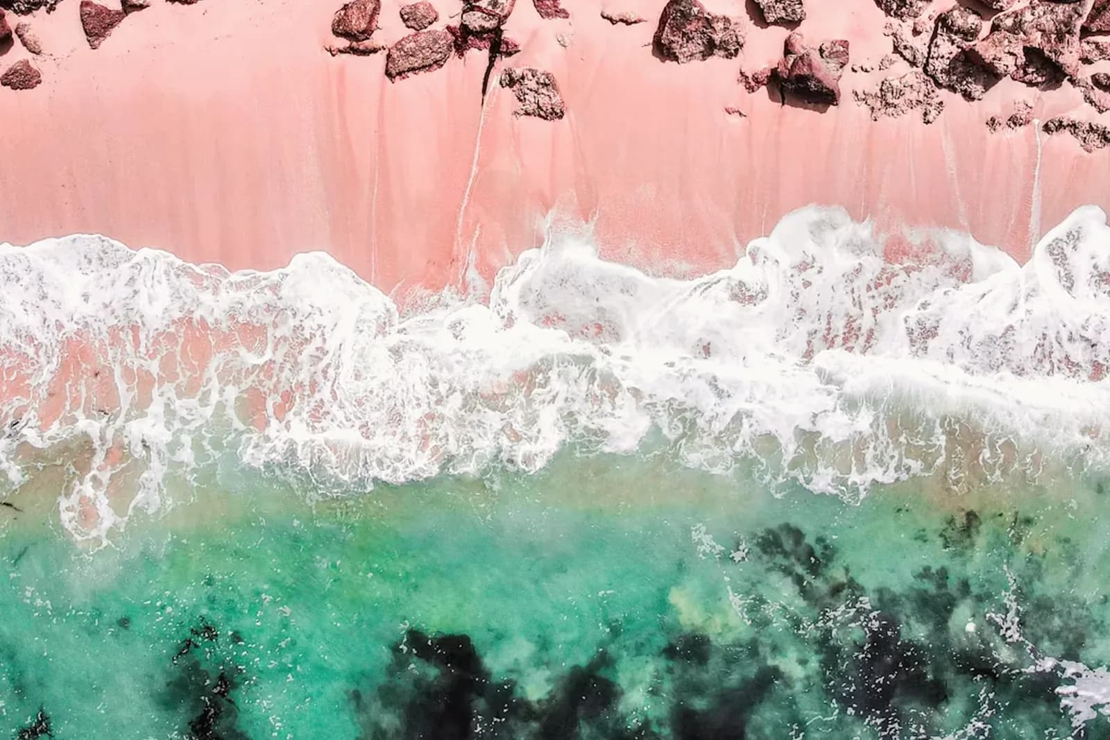 Der Pink Sands Beach mit seinem zartrosa Sand