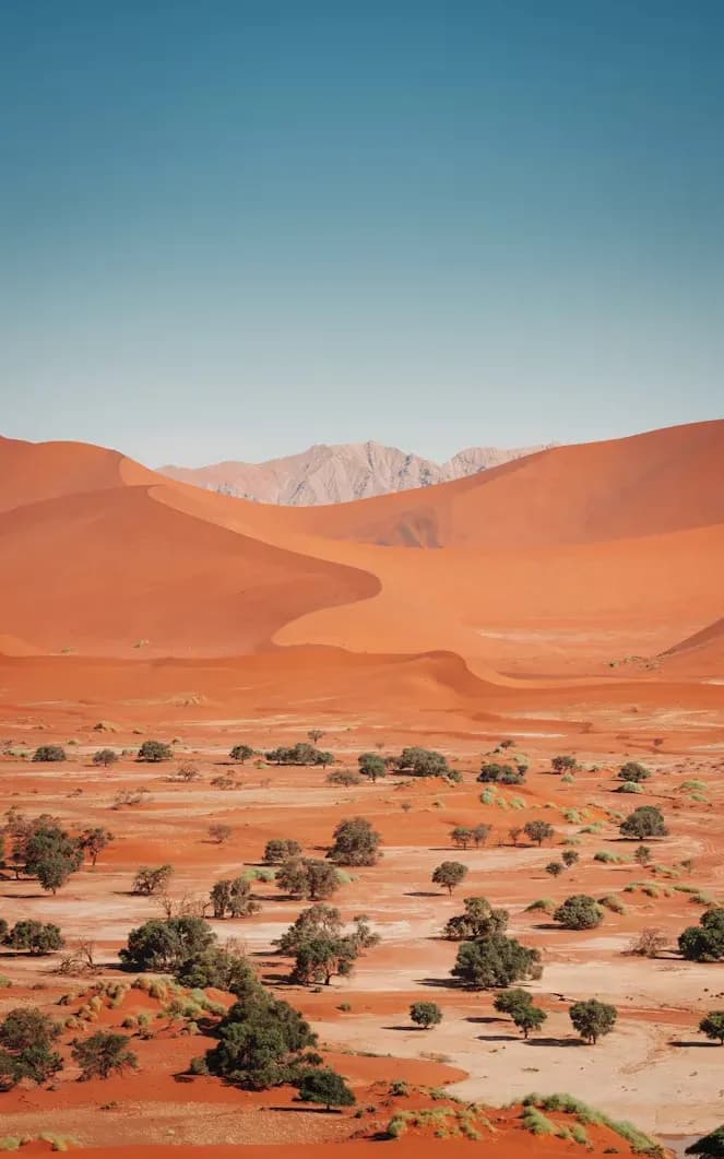 Rote Dünen bei Sossusvlei