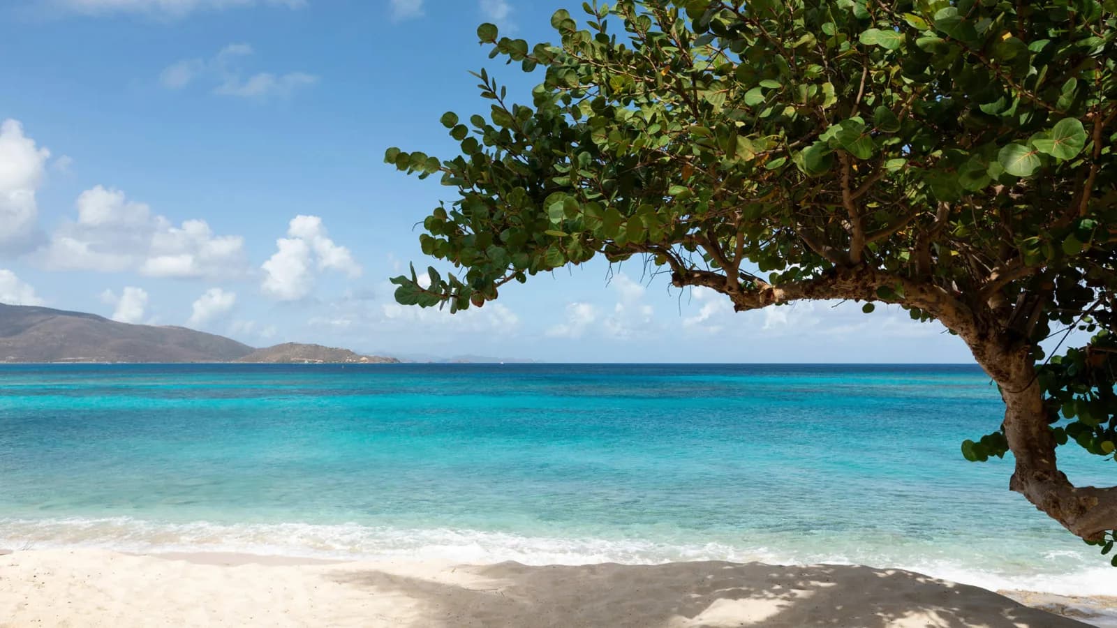 Necker Island – Strand mit Traubenbaum und Blick auf die Nachbarinseln