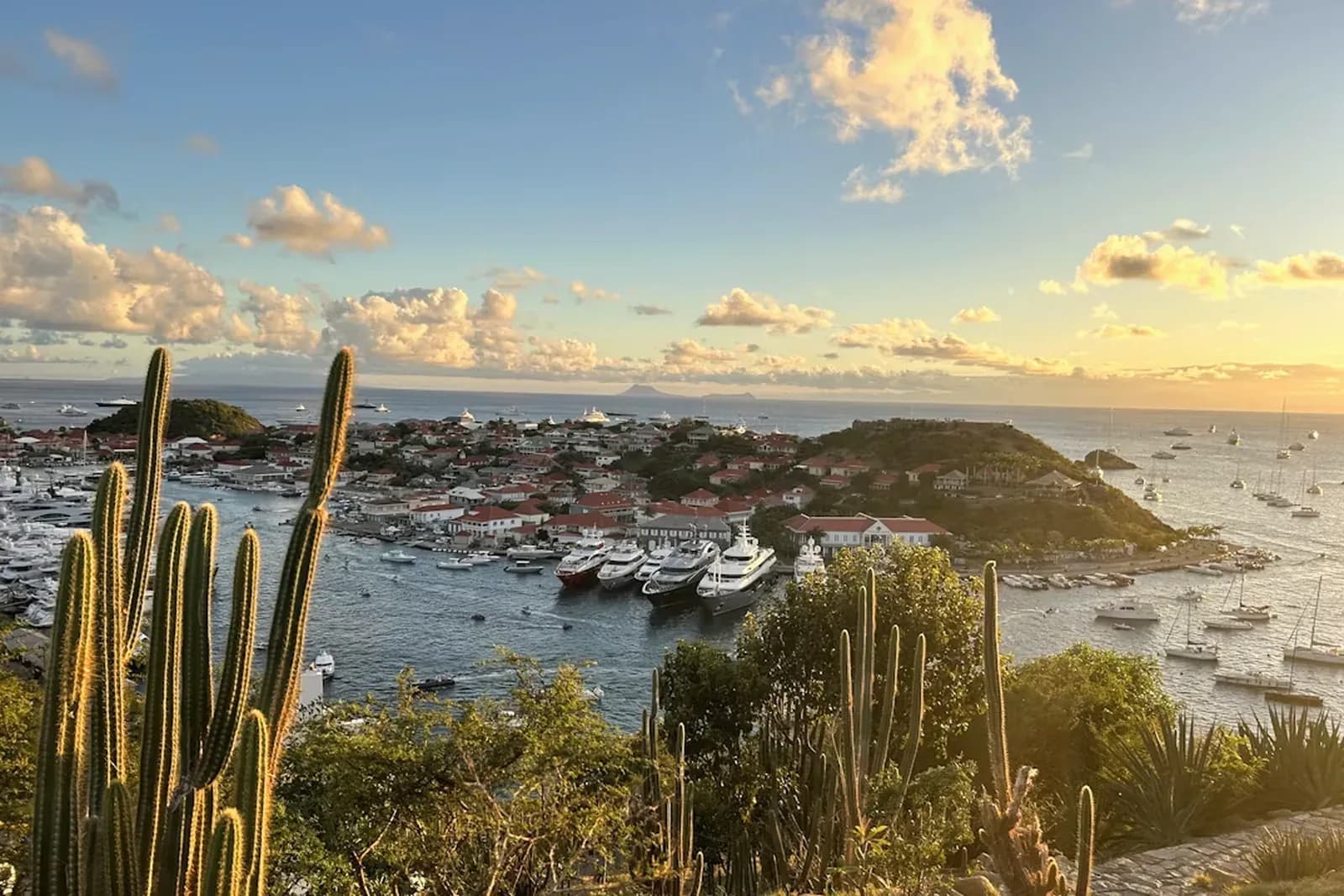 Der Hafen von Gustavia im Abendlicht, im Vordergrund Kakteen