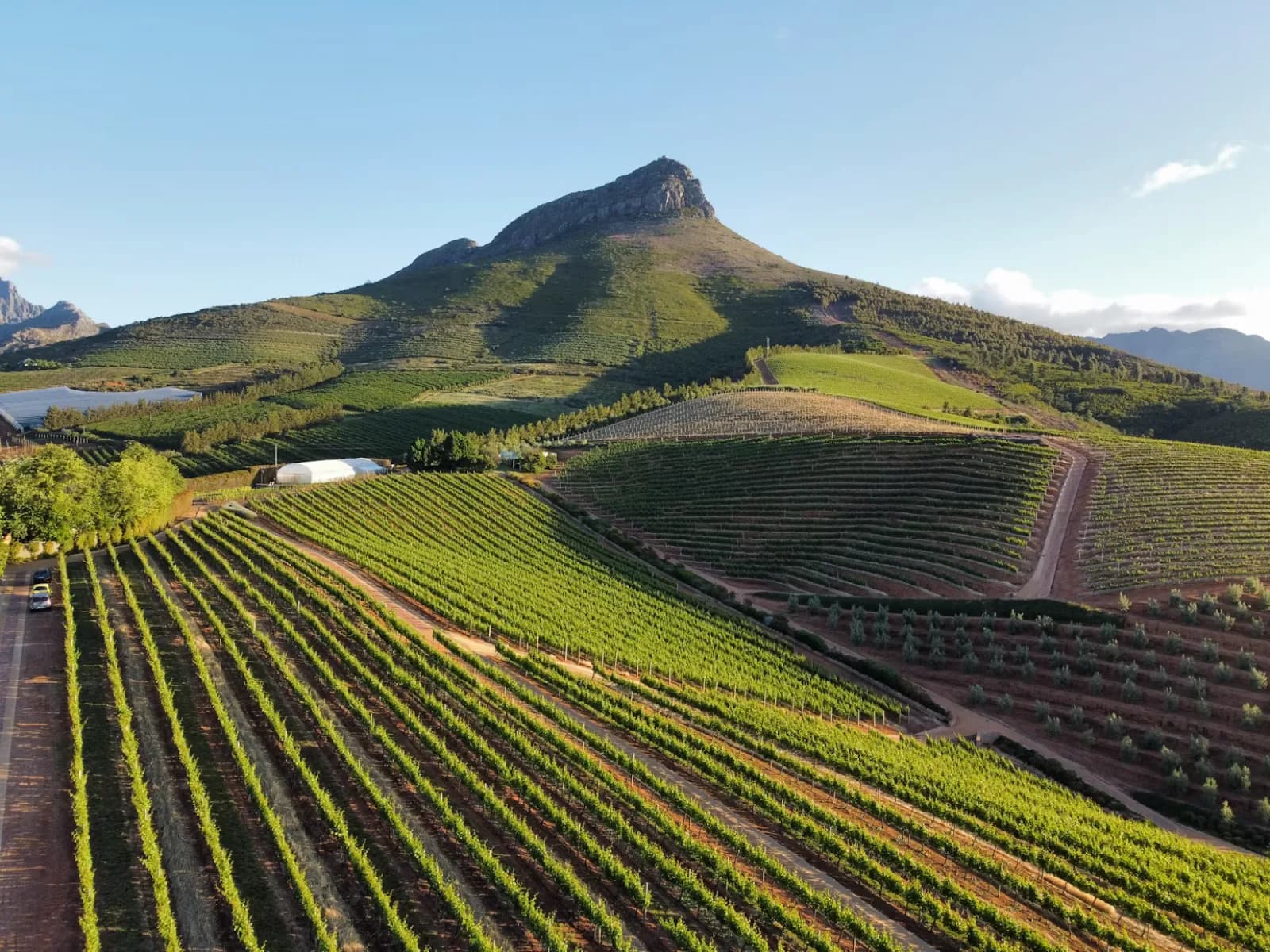 Weinberge bei Stellenbosch