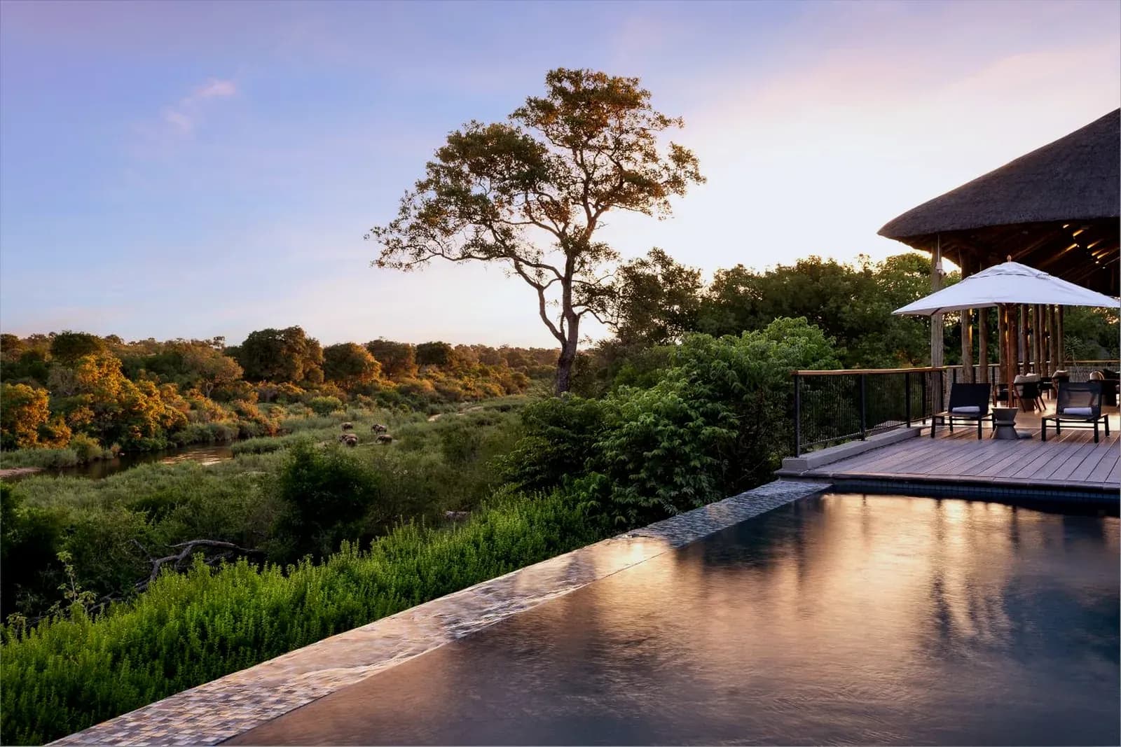 Infinity-Pool der Leopard Sands Lodge über dem Buschland