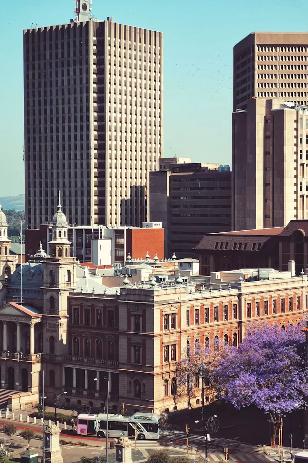 Pretoria – Jacaranda-Bäume über den Straßen der Stadt